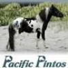 Profile picture for user Pacific Pintos