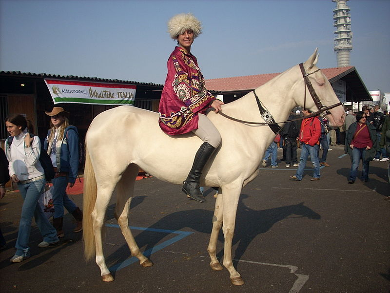 Perlino horse