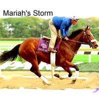 Mariah's Storm