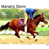 Mariah's Storm