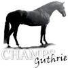 Profile picture for user Silver Sport Horses